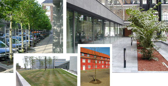 collage_anlaeg_og_landskab.jpg